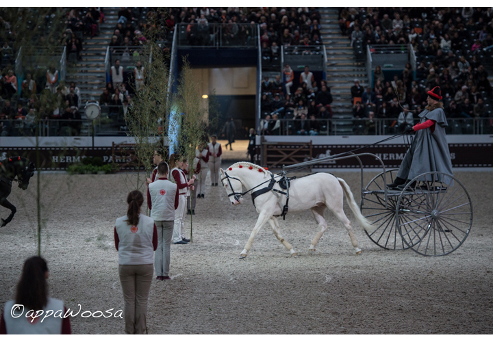 grand galop la rencontre