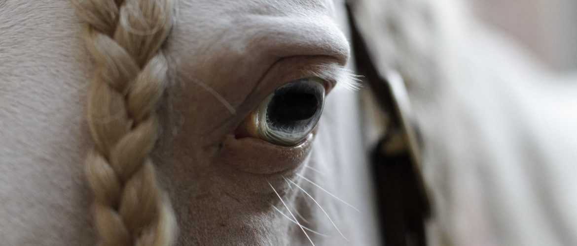 Concours Photo Detail Coulisses