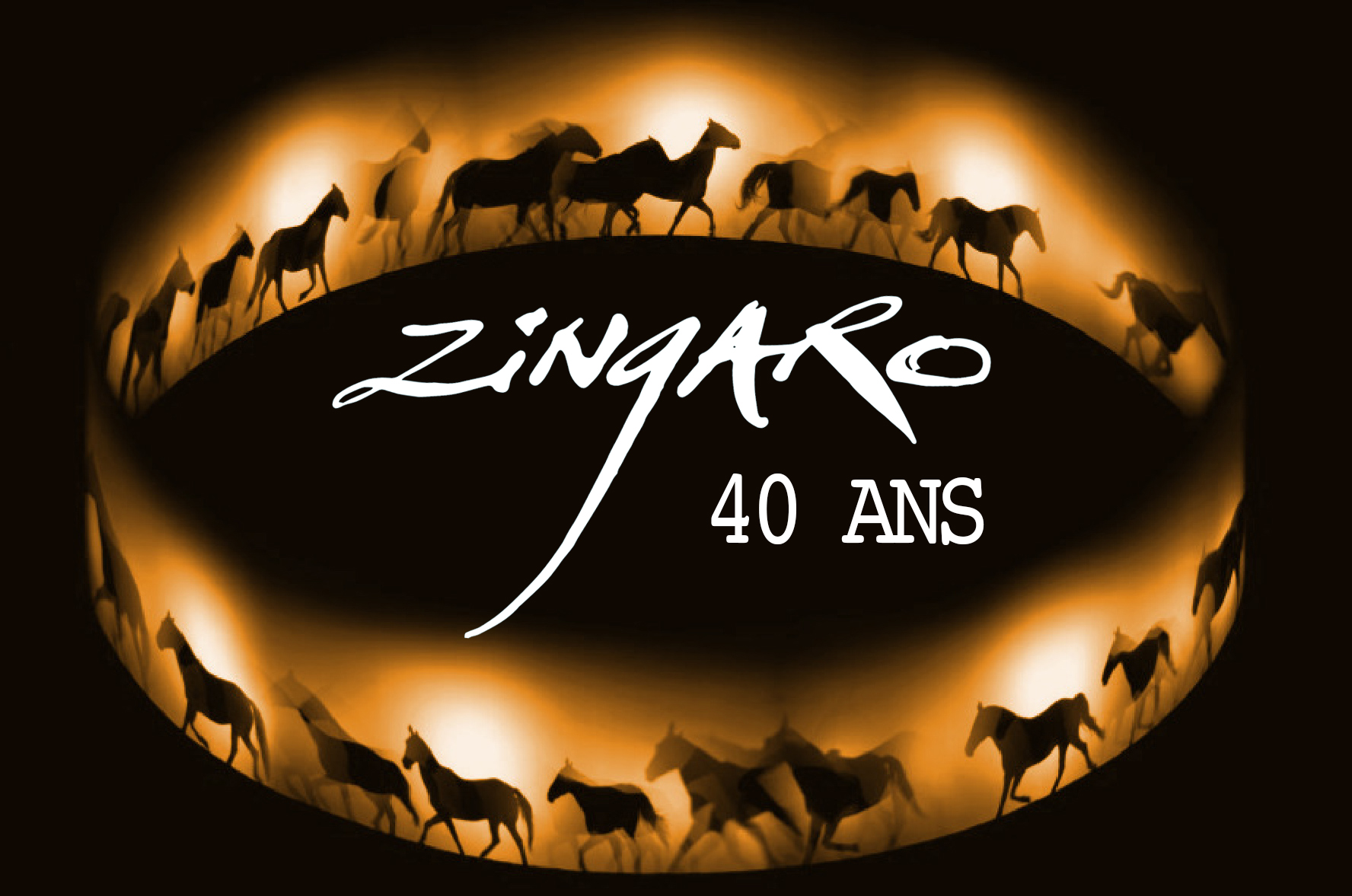 Zingaro fête ses 40 ans en fanfare et en images !